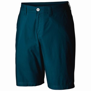 Columbia Washed Out™ Short Herr Blå (QLGXO8932)